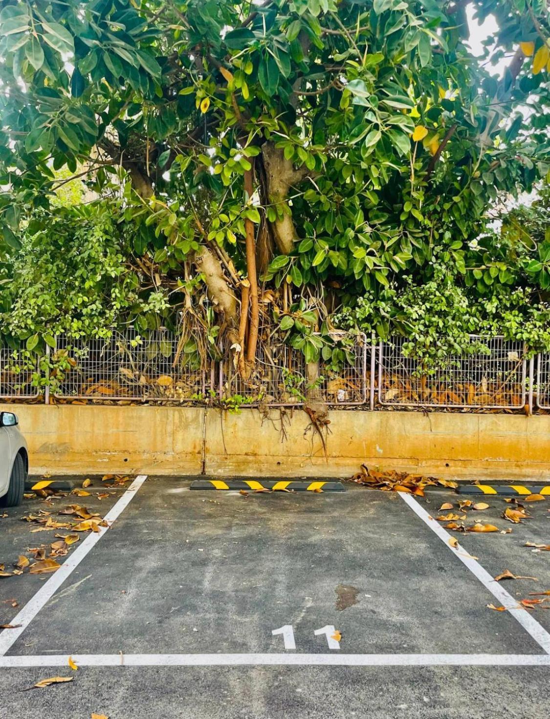 High-End Apartment , With A Private Parking And An Elavator Tel Aviv Dış mekan fotoğraf